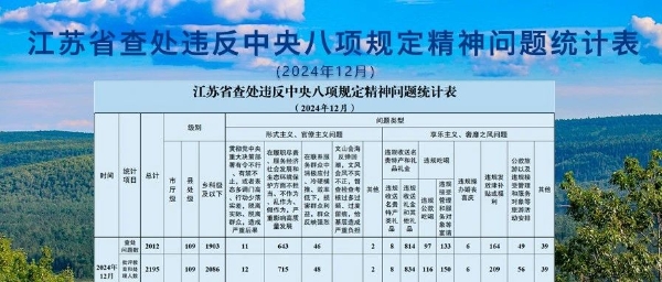 2024年12月全省查处违反中央八项规定精神问题2...
